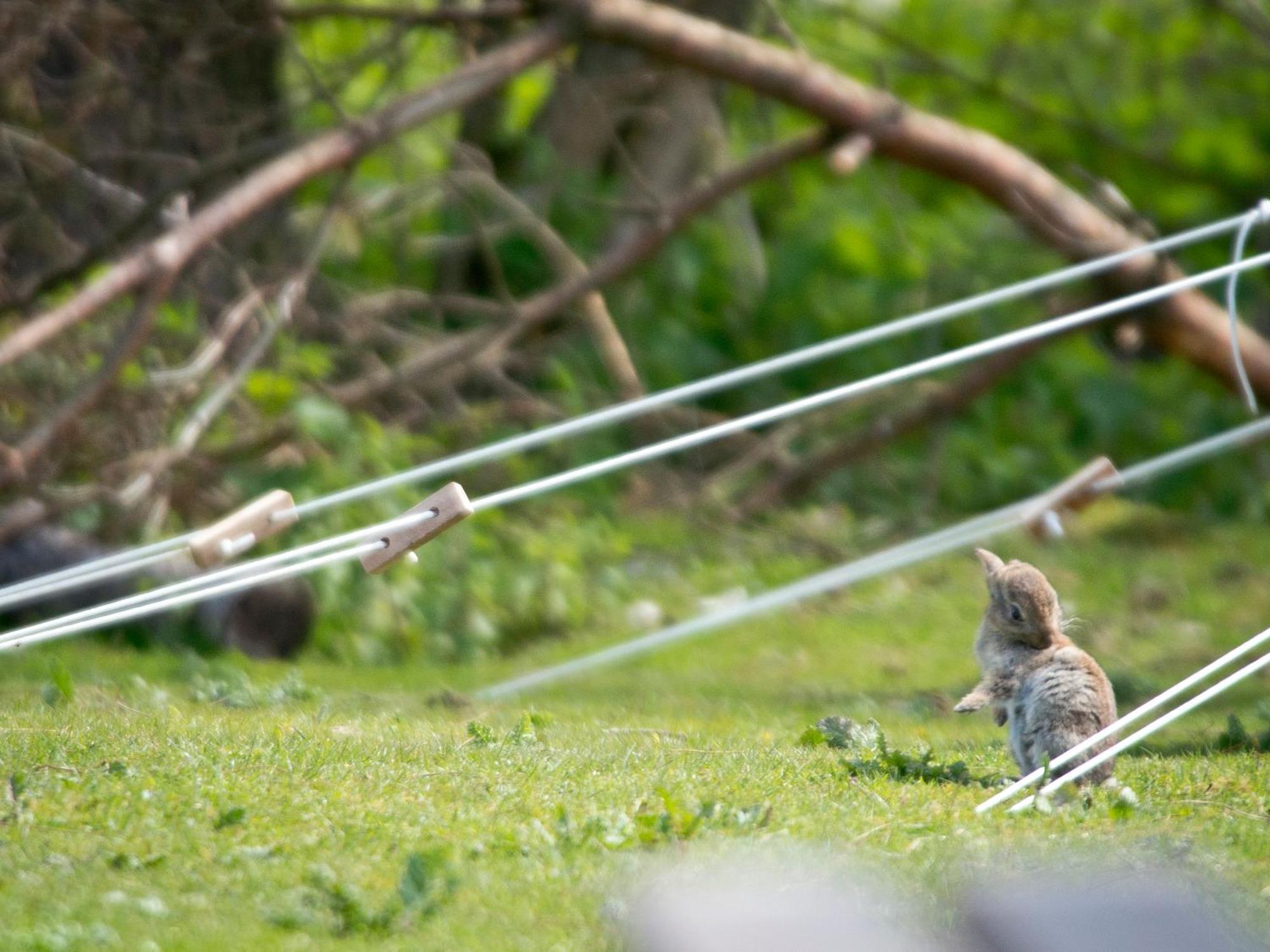 Yha Truleigh Hill Hostel Shoreham-by-Sea Bagian luar foto